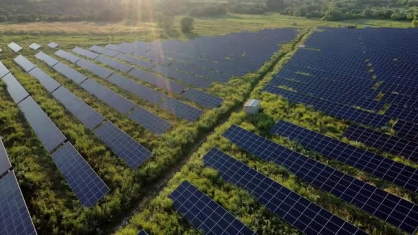 日没の緑のフィールド上の太陽光パネルの発電所の空中ビュー — ストック動画