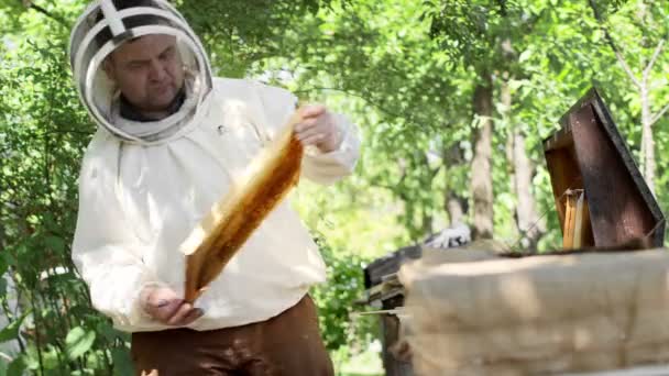 Beekeeper Protective Suit Works Honeycombs Farmer Bee Suit Works Honeycombs — Stock Video