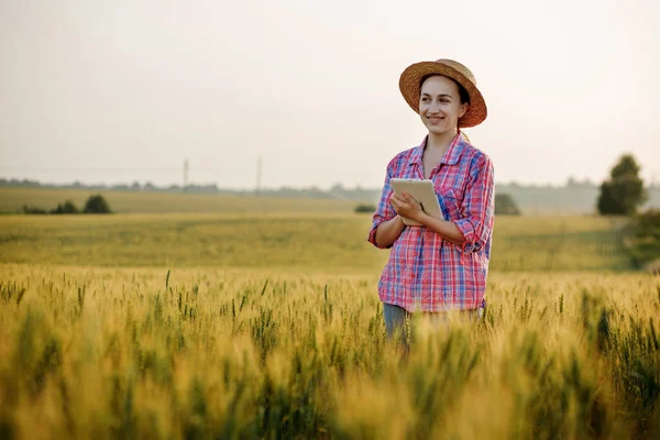 Young Fcrmer Checks Grain Field Sends Data Cloud Tablet Concept — Stock Photo, Image
