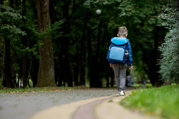 Mały Chłopiec Plecakiem Idzie Szkoły Widok Tyłu Pierwsza Klasa — Zdjęcie stockowe