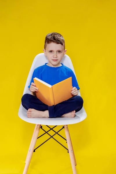5岁至6岁的小可爱的金发绿眼睛男孩 穿着时髦的蓝色T恤 拿着书 阅读着黄色墙壁的背景图片和孩子们的工作室肖像 — 图库照片