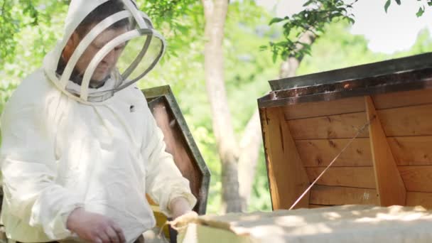 保護スーツの養蜂家は ハニカムで動作します ミツバチのスーツを着た農家は スイカズラと一緒に食事をします 田舎で養蜂してる 有機農業 — ストック動画