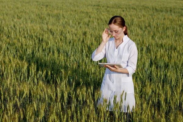 Laboratory Technician Using Digital Tablet Computer Cultivated Wheat Field Application — Stock fotografie