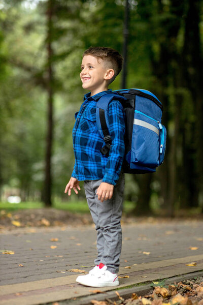 Boy of school age with a blue backpack goes to school in the park.