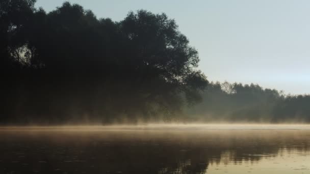 Fisherman Pulling Fish River Foggy Summer Morning Fishing Spinning — Stock videók