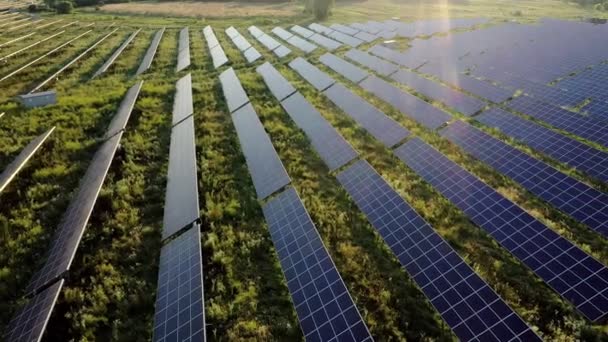 Vista Aérea Central Eléctrica Paneles Solares Campo Verde Atardecer — Vídeos de Stock