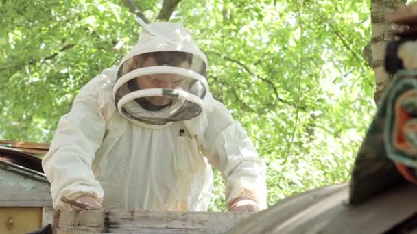 Beekeeper Protective Suit Works Honeycombs Apiary Beekeeping Countryside Organic Farming — Stock Video