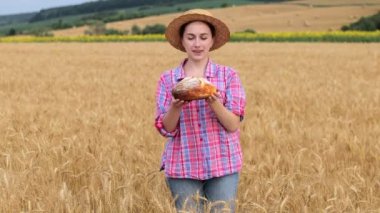 A farmer in a wheat field. Wheat harvest season in Ukraine. Golden ears of corn and a woman holding bread in her hands. Organic bread.