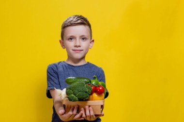 Çocuk sarı arka planda taze sebzelerle dolu bir sepet tutuyor. Brokolili sepet, karnabahar, vişneli domates, salatalık, biber. Vejetaryen ve sağlıklı kavramlar