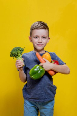 The boy holds fresh vegetables in his hands: broccoli, carrots and peppers on a yellow background. Vegan and healthy concepts