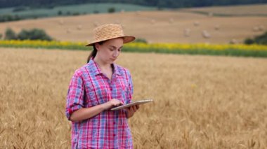 Buğday tarlasında tablet bilgisayarlı beyaz tenli teknoloji uzmanı kadın tarım için ürün kalitesini ve büyümesini kontrol ediyor. Tarım ve hasat kavramı