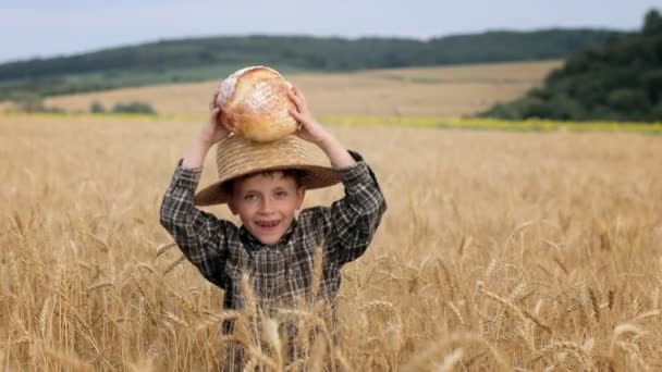 Маленький Хлопчик Солом Яному Капелюсі Тримає Хліб Являється Посеред Пшеничного — стокове відео
