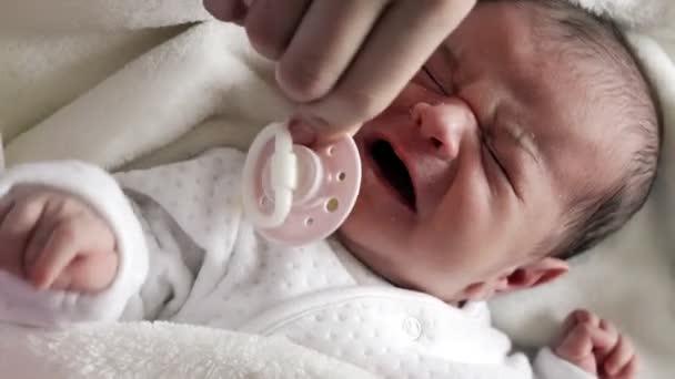Noworodek Płacze Krzyczy Płacze Dziecko Płacze Matka Łagodzi Daje Smoczek — Wideo stockowe