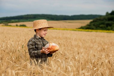 A little boy in a hat is holding bread while standing in a wheat field. Agriculture, farming.
