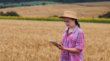Buğday tarlasında tablet bilgisayarlı beyaz tenli teknoloji uzmanı kadın tarım için ürün kalitesini ve büyümesini kontrol ediyor. Tarım ve hasat kavramı.