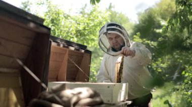 Dikkatli bir arı yetiştiricisi arılarla bal peteğini kontrol için kaldırır. Tecrübeli arı yetiştiricisi. Arıcılık kavramı.