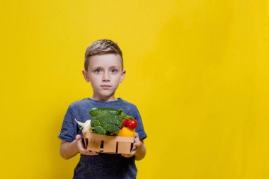 Çocuk sarı arka planda taze sebzelerle dolu bir sepet tutuyor. Brokolili sepet, karnabahar, vişneli domates, salatalık, biber. Vejetaryen ve sağlıklı kavramlar