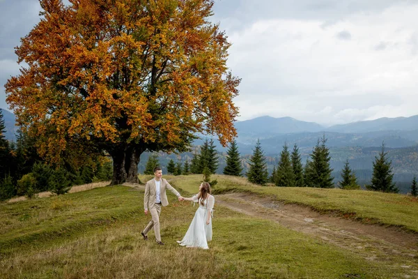 Married Couple Walks Mountains Bride Leads Groom Her Girl Holds — Foto de Stock