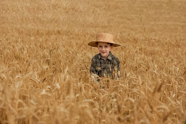 Portret Uśmiechniętego Chłopczyka Koszuli Kratę Słomkowym Kapeluszu Polu Pszenicy — Zdjęcie stockowe