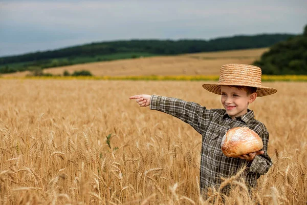 Mały Chłopiec Kapeluszu Trzyma Chleb Wskazuje Wielkość Pola Stojąc Polu — Zdjęcie stockowe