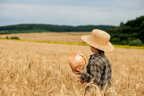 Malý Chlapec Klobouku Drží Chléb Zatímco Stojí Pšeničném Poli Zemědělství — Stock fotografie