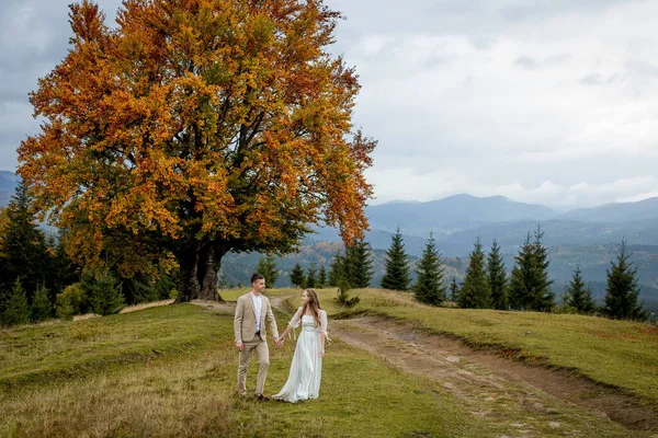 Married Couple Walks Mountains Bride Leads Groom Her Girl Holds — Zdjęcie stockowe
