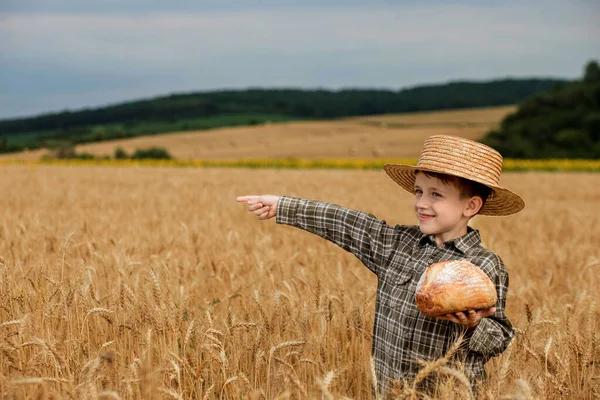 A little boy in a hat is holding bread and points to the size of the field while standing in a wheat field. Agriculture, farming.