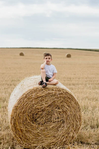 Cute Little Boy White Shirt Khaki Shorts Sitining Bales Hay — ストック写真