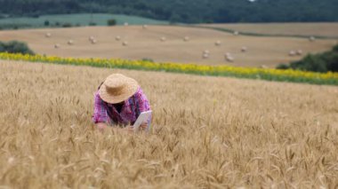 Kafkas teknolojisi uzmanı kadın, tablet bilgisayarlı tarımcı buğday tarımının kalitesini ve tarım için ekinlerin büyümesini kontrol ederken fotoğraf çekiyor. Tarım ve hasat kavramı.