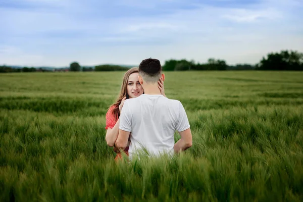 大麦の分野でロマンチックな若い幸せなカップル 赤いドレスの女の子と男 草の上を歩く夫婦の肖像画です — ストック写真