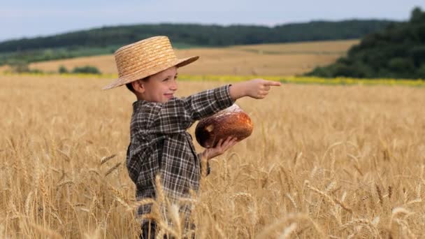 Усміхнений Маленький Фермер Плетеній Сорочці Солом Яному Капелюсі Показує Пшеничному — стокове відео