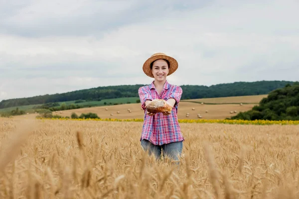 Farmářka Dává Organický Obilný Chléb Pozadí Pšeničného Pole Chléb Život — Stock fotografie