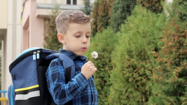 Kleiner Junge Bläst Löwenzahn Und Umarmt Die Freude Der Kindheit — Stockvideo