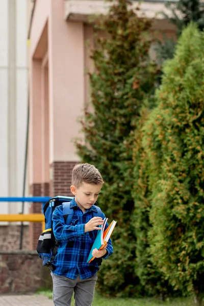 Sırt Çantalı Küçük Birinci Sınıf Öğrencisi Defterine Bakıyor Okuldan Eve — Stok fotoğraf