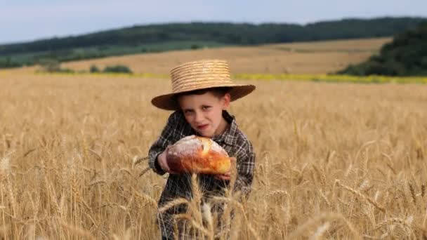 Ένα Μικρό Αγόρι Καπέλο Χαίρεται Και Χορεύει Ψωμί Στο Χωράφι — Αρχείο Βίντεο