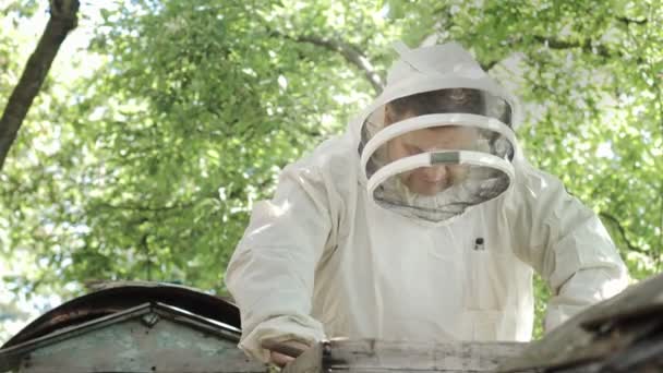 Peternak Lebah Dalam Pakaian Pelindung Bekerja Dengan Sarang Lebah Sebuah — Stok Video