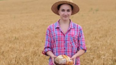 A farmer in a wheat field. Wheat harvest season in Ukraine. Golden ears of corn and a woman holding bread in her hands. Organic bread