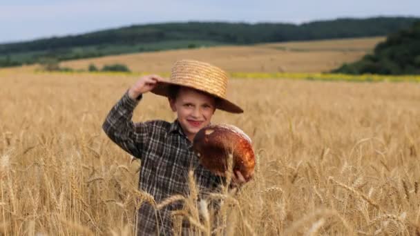 Маленький Мальчик Шляпе Радость Танцы Хлебом Поле Сельское Хозяйство — стоковое видео
