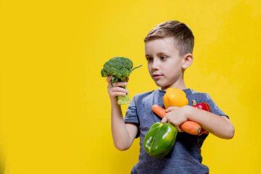 The boy holds fresh vegetables in his hands: broccoli, carrots and peppers on a yellow background. Vegan and healthy concepts