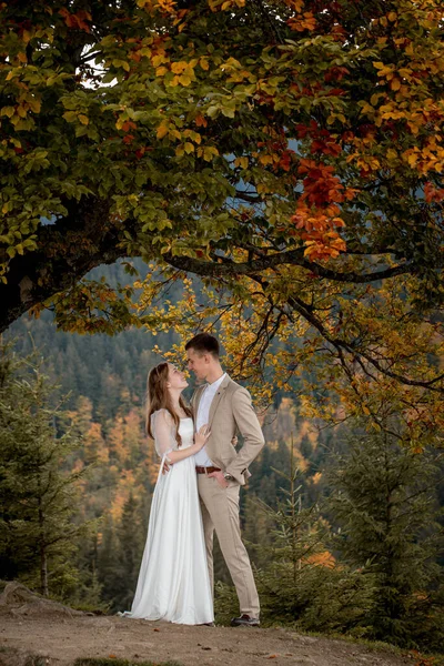 Elegante Sposo Abbracciare Sposa Felice Luce Del Sole Momento Romantico — Foto Stock