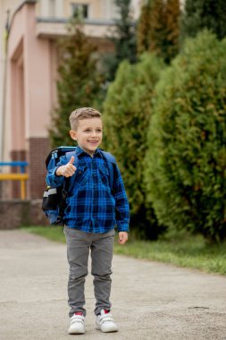 Mavi gömlekli ve okul ceketli neşeli, yaramaz beyaz öğrenci. Onaylama jesti yapıyor. Okula geri dön.