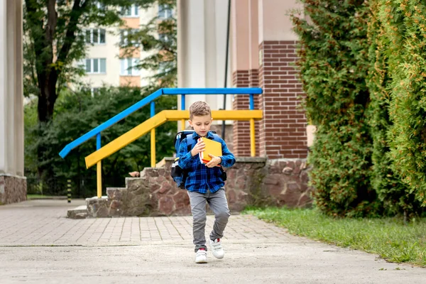 Kleiner Erstklässler Mit Rucksack Auf Dem Heimweg Von Der Schule — Stockfoto