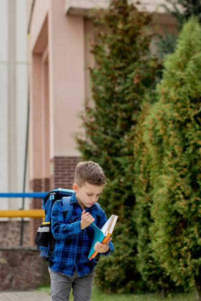 小一年级学生背着背包看那本抄本 放学回家 — 图库照片