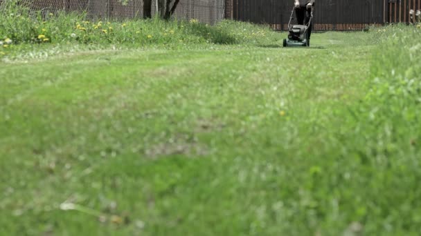 男人在自家后院割草 拿割草机的人 — 图库视频影像