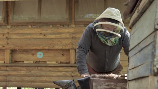 Пчеловод Защитном Костюме Работает Сотами Пасеке Пчеловодство Деревне Органическое Земледелие — стоковое видео