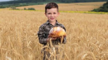 Ekose gömlekli ve hasır şapkalı mutlu çiftçi çocuk buğday tarlasında ekmek fırlatır ve yakalar.