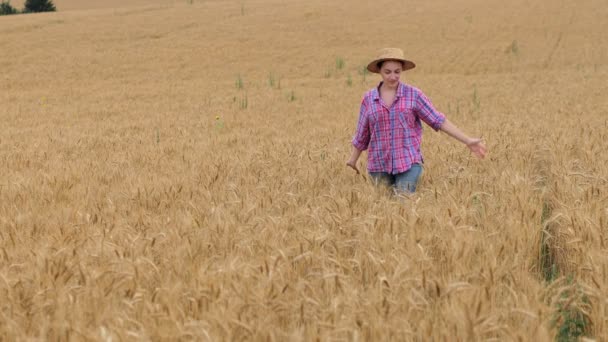 Young Farmer Woman Straw Hat Checkered Shirt Walking Wheat Ripe — ストック動画