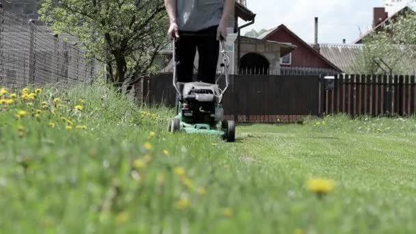 Man Maait Gazon Achtertuin Van Zijn Huis Man Met Grasmaaier — Stockvideo