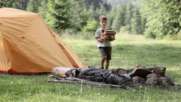 Mały Chłopiec Niosący Drewno Opałowe Ognisko Podczas Podróży Środowisku Naturalnym — Wideo stockowe