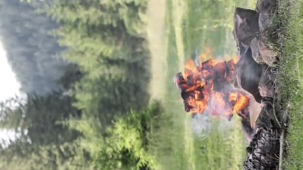 Dağlardaki Ormanın Yakınındaki Güzel Kamp Ateşine Yakın — Stok video